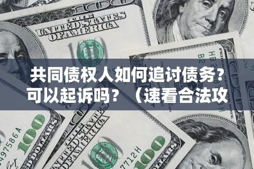 济南共同债权人如何追讨债务？可以起诉吗？（速看合法攻略）