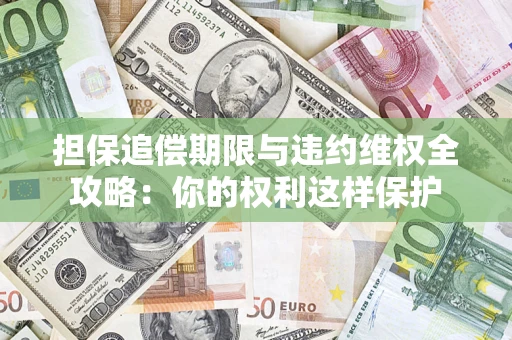 济南担保追偿期限与违约维权全攻略：你的权利这样保护